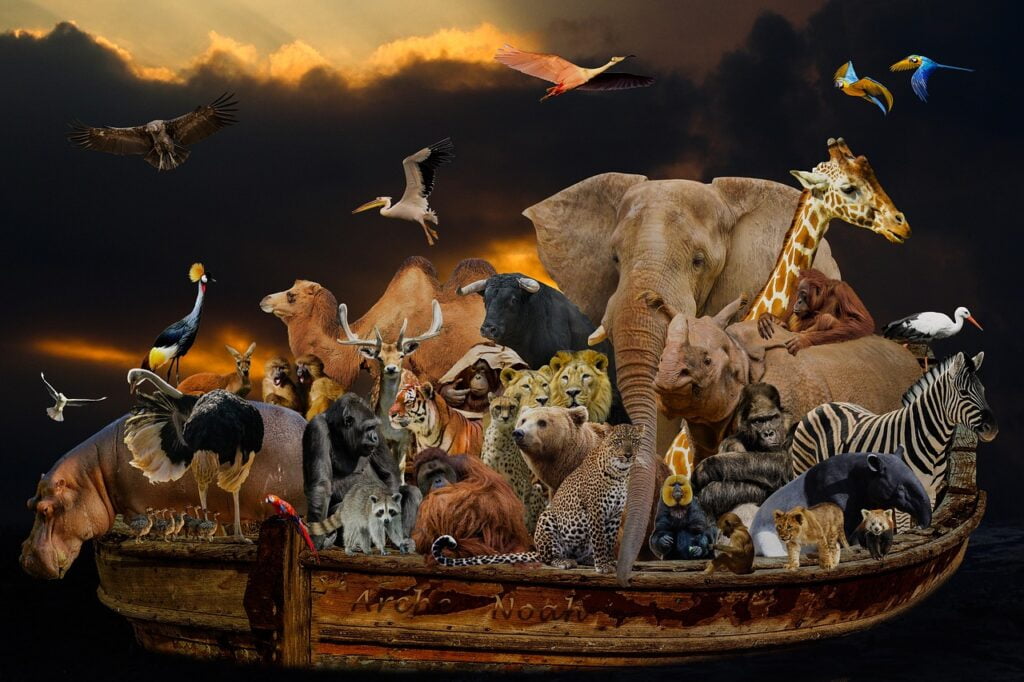 Obrázok je len ilustračný, nesúvisí priamo s textom.