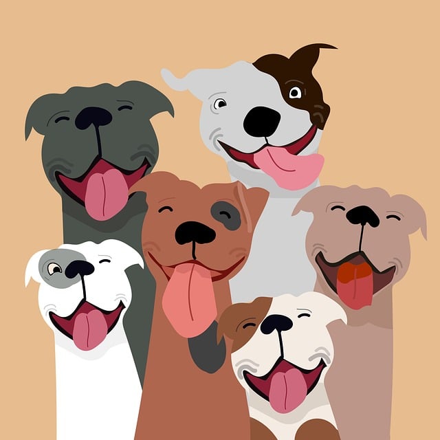 Obrázok je len ilustračný, nesúvisí priamo s textom.