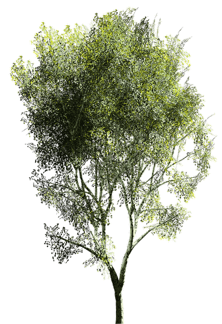 Obrázok je len ilustračný, nesúvisí priamo s textom.