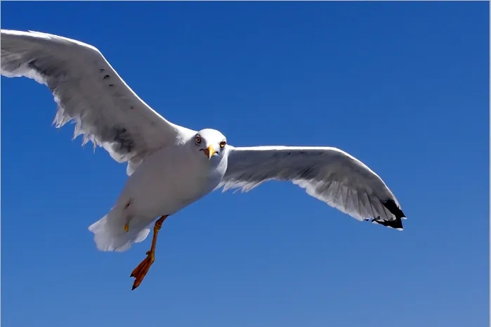 Obrázok je len ilustračný, nesúvisí priamo s textom.