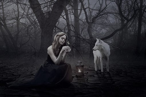 Obrázok je len ilustračný, nesúvisí priamo s textom.