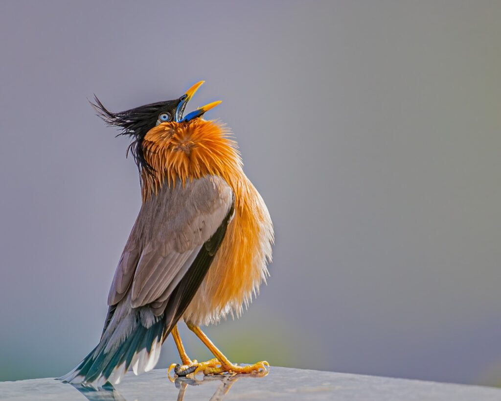 Obrázok je len ilustračný, nesúvisí priamo s textom.