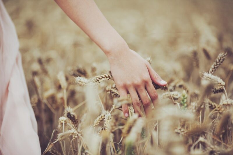 Obrázok je len ilustračný, nesúvisí priamo s textom.