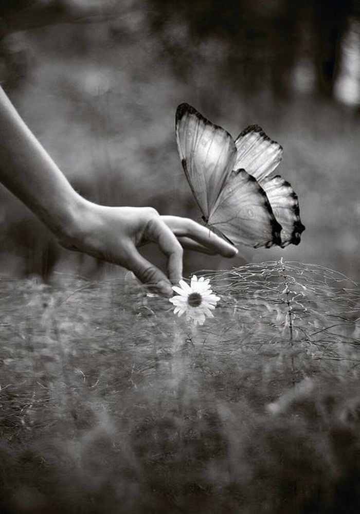 Obrázok je len ilustračný, nesúvisí priamo s textom.