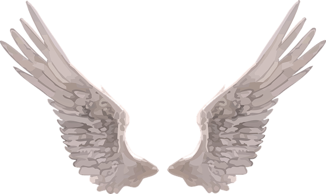 Obrázok je len ilustračný, nesúvisí priamo s textom.