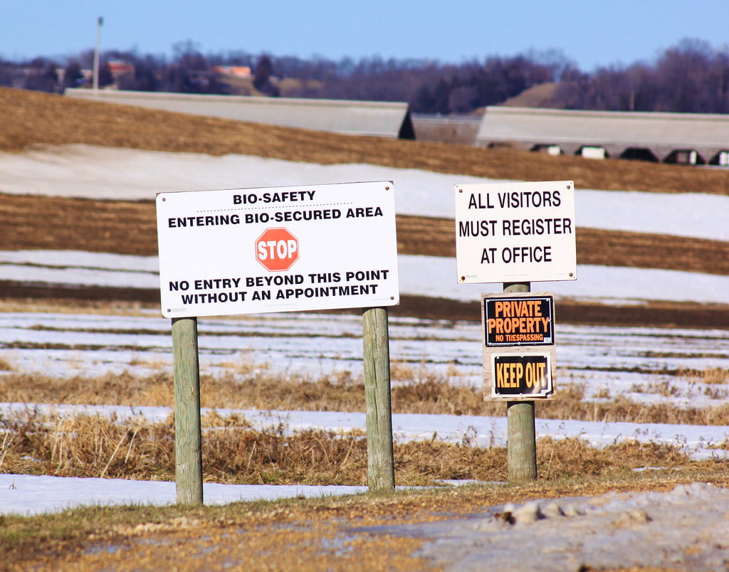 Obrázok je len ilustračný, nesúvisí priamo s textom.