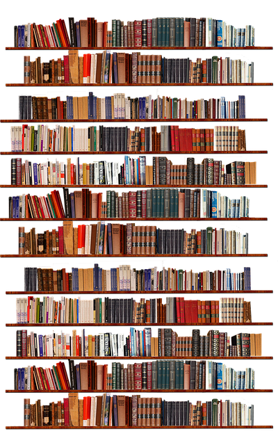 Obrázok je len ilustračný, nesúvisí priamo s textom.