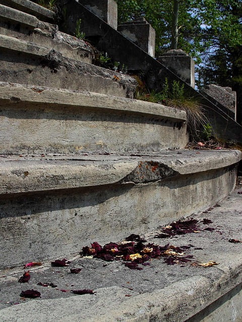 Obrázok je len ilustračný, nesúvisí priamo s textom.