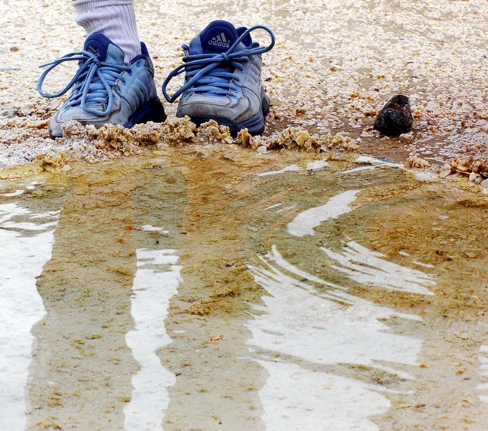 Obrázok je len ilustračný, nesúvisí priamo s textom.