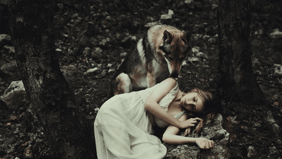 Obrázok je len ilustračný alebo len ako dekorácia.