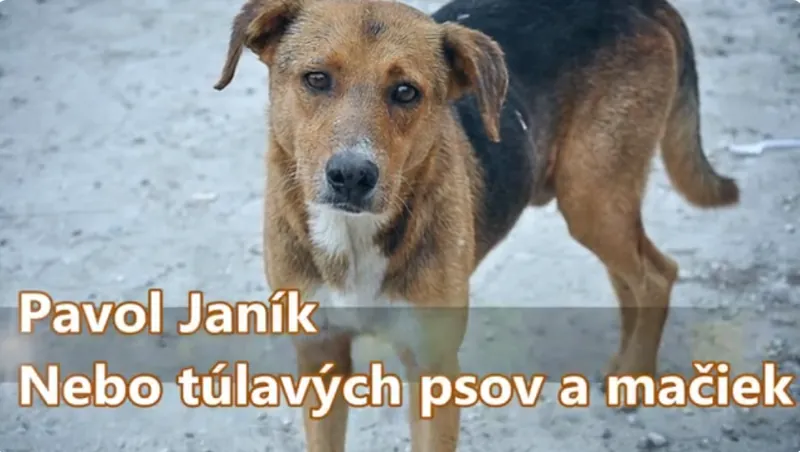 Obrázok je len ilustračný alebo len ako dekorácia.