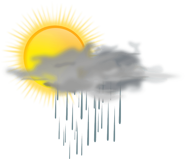 Obrázok je len ilustračný alebo len ako dekorácia.