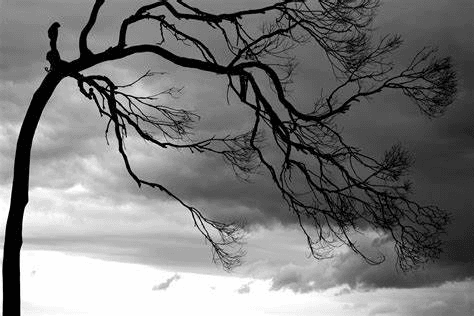 Obrázok je len ilustračný alebo len ako dekorácia.