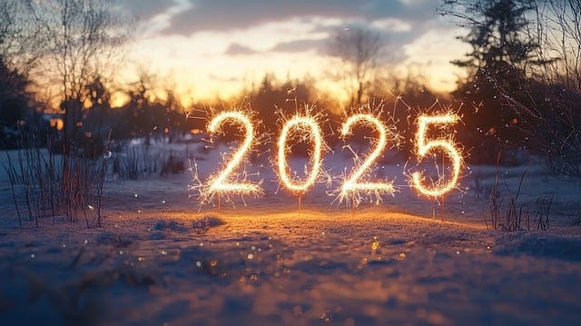 Obrázok je len ilustračný alebo len ako dekorácia.