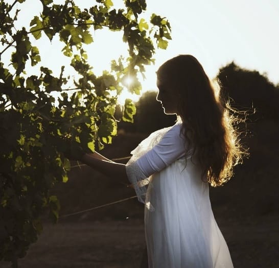 Obrázok je len ilustračný alebo len ako dekorácia.