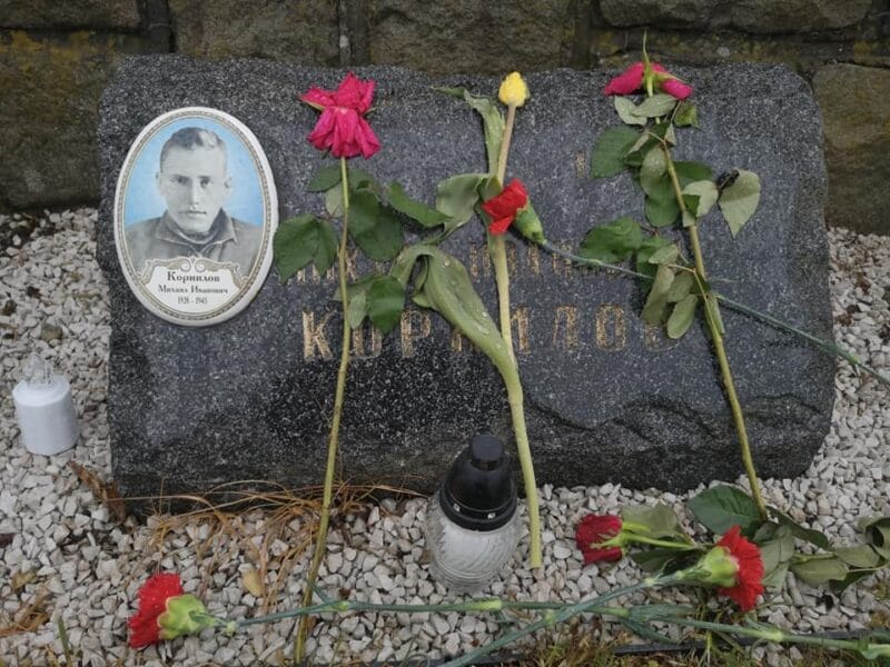 Obrázok je len ilustračný alebo len ako dekorácia.