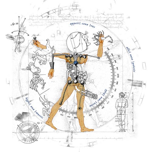 Obrázok je len ilustračný alebo len ako dekorácia.