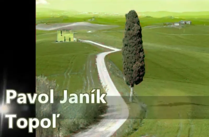 Obrázok je len ilustračný alebo len ako dekorácia.