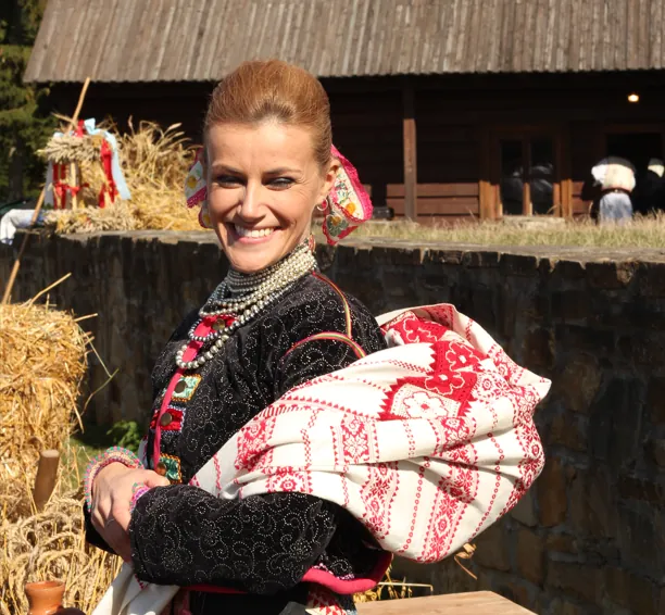 Obrázok je len ilustračný alebo len ako dekorácia.