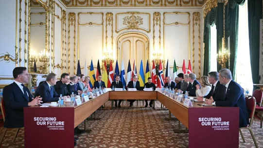 Obrázok je len ilustračný alebo len ako dekorácia.