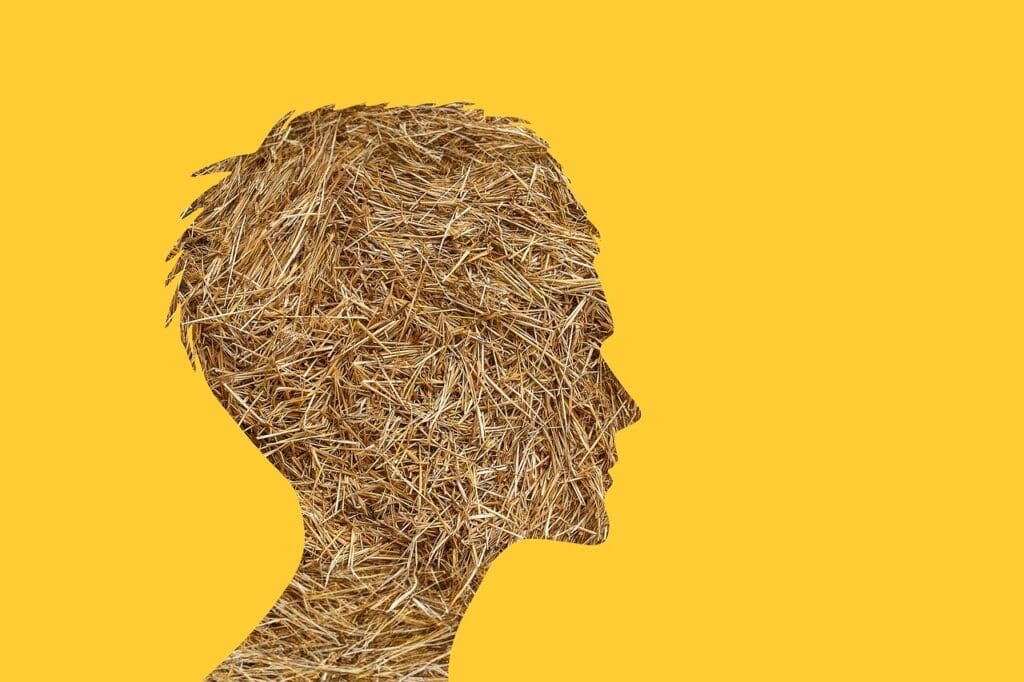 straw, head, ignorance, knowledge, education gap, disinformed, disinterest, simplicity, lack of knowledge, inexperience, stupidity, unreasonable, misunderstanding, narrow-mindedness, error