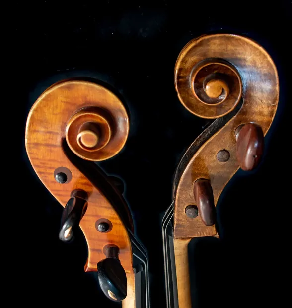 Obrázok je len ilustračný alebo len ako dekorácia