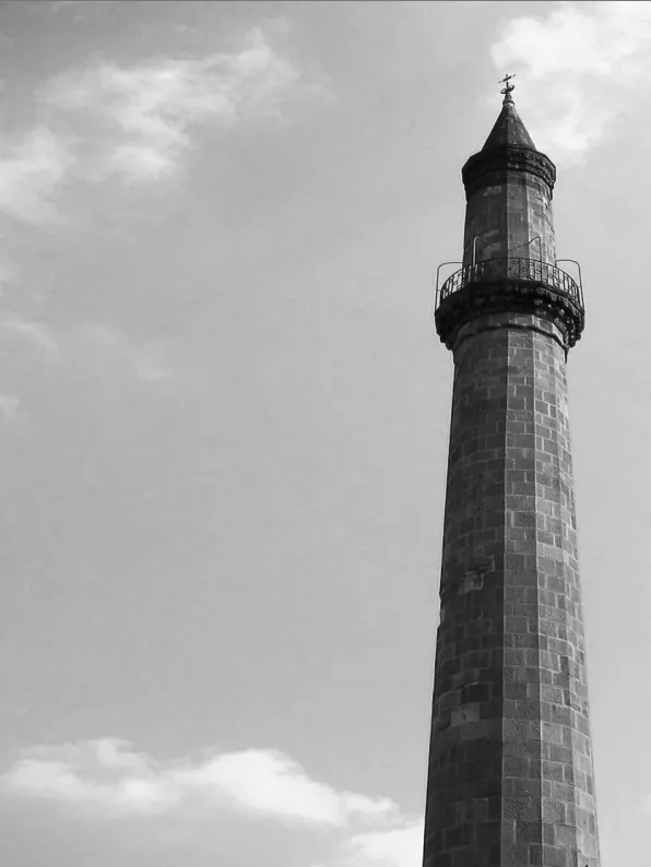 Obrázok je len ilustračný alebo len ako dekorácia