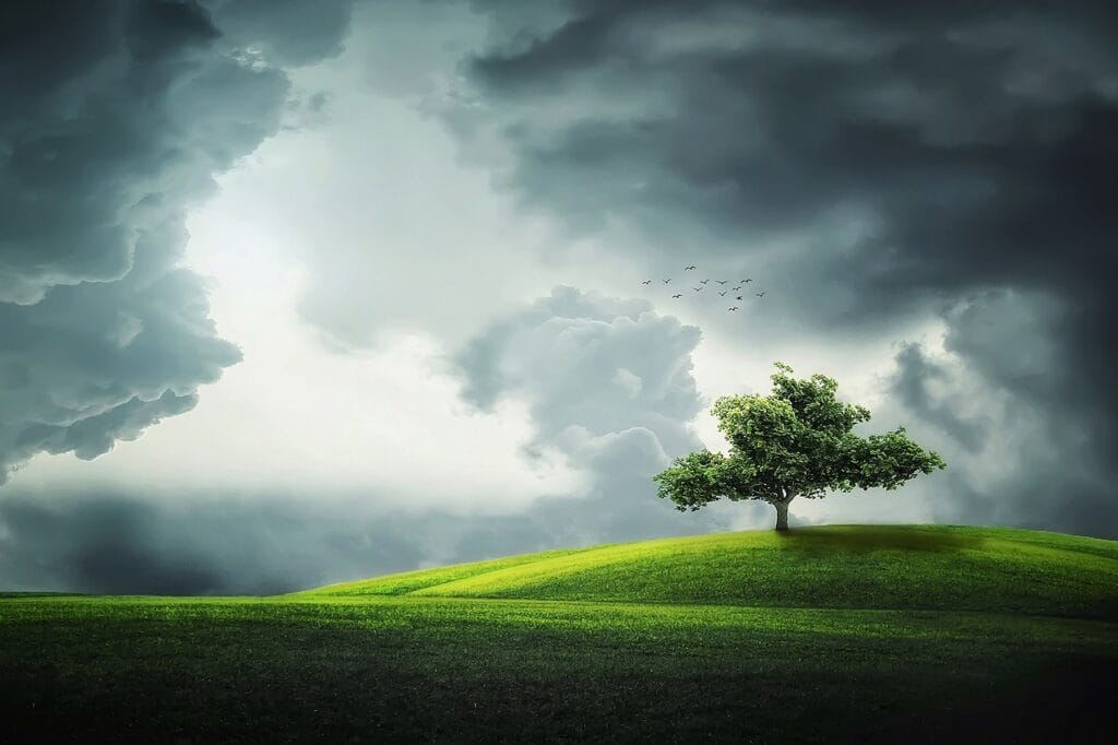 tree, clouds, fields, grass, grasslands, meadow, hill, cloudy sky, gloomy, weather, rural, countryside, landscape, nature, park, green, horizon, outdoors, tree, tree, landscape, nature, nature, nature, nature, nature
