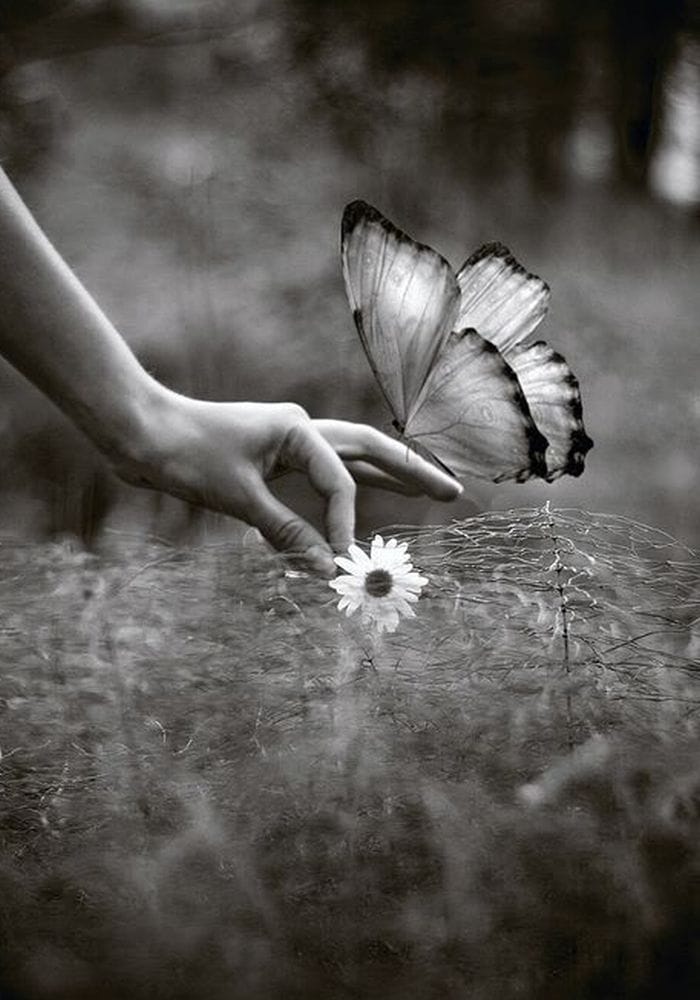 Obrázok je len ilustračný alebo len ako dekorácia