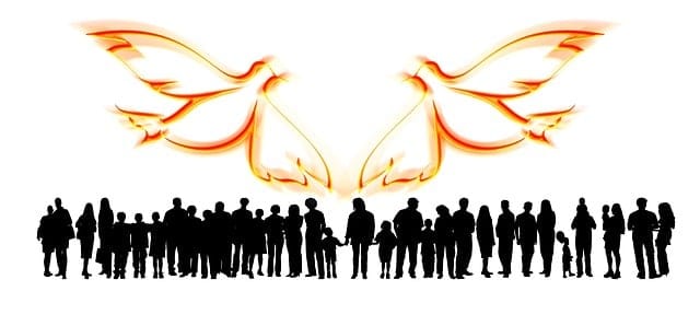 Obrázok je len ilustračný alebo len ako dekorácia