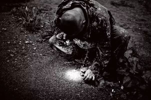 Obrázok je len ilustračný alebo len ako dekorácia.