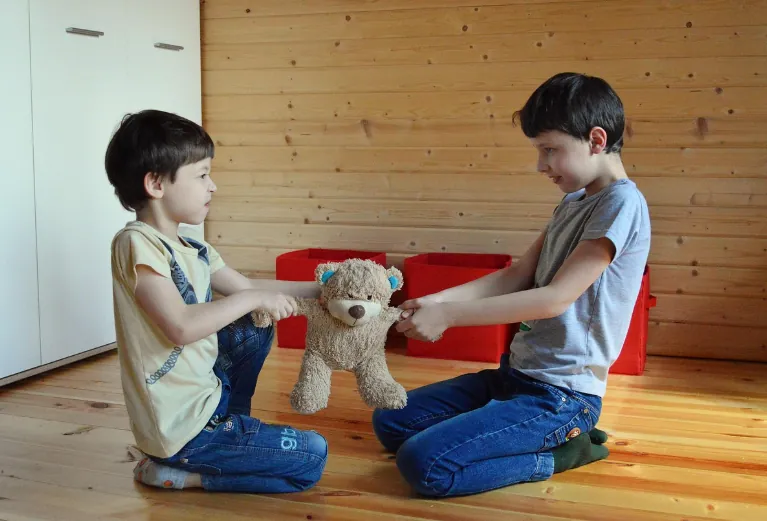 Obrázok je len ilustračný alebo len ako dekorácia.