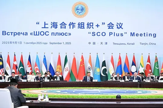 Obrázok je len ilustračný alebo len ako dekorácia.