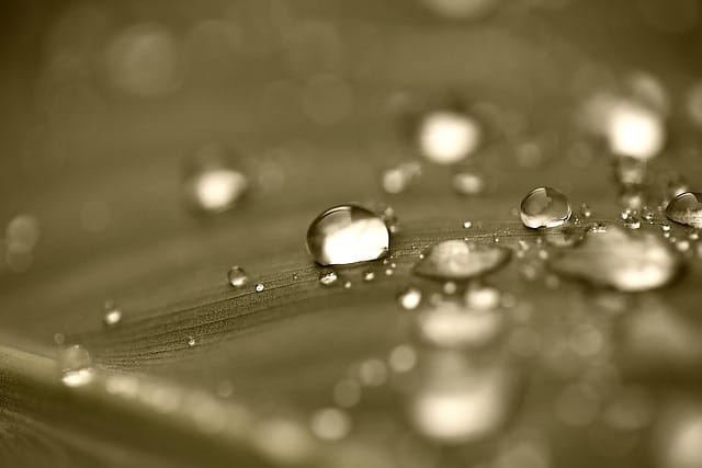 Obrázok je len ilustračný alebo len ako dekorácia.