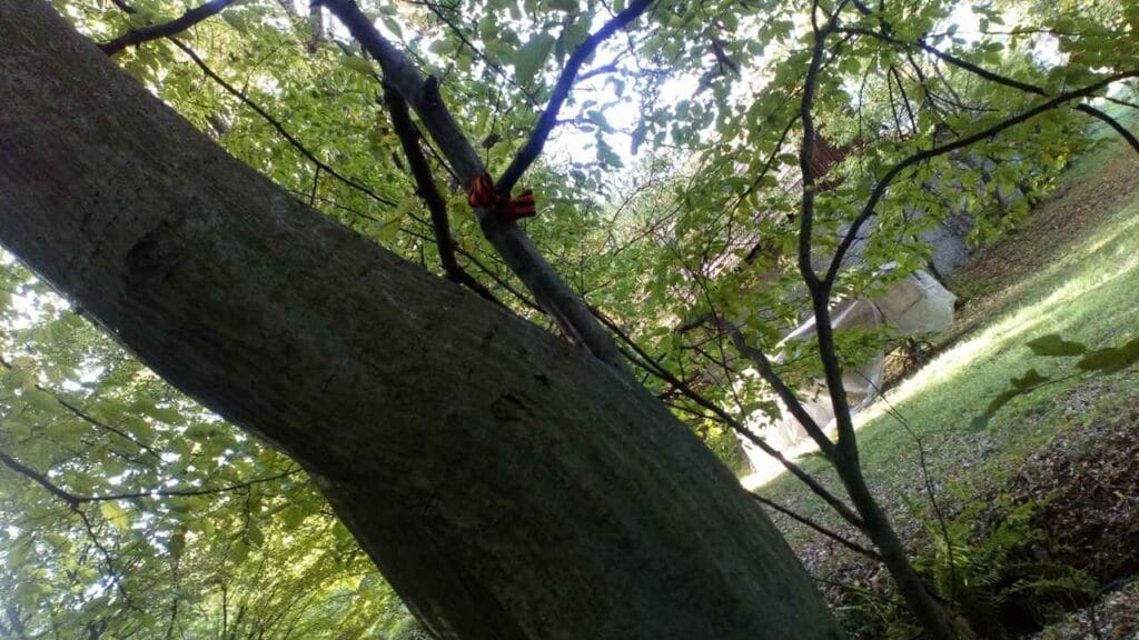 Obrázok je len ilustračný alebo len ako dekorácia.