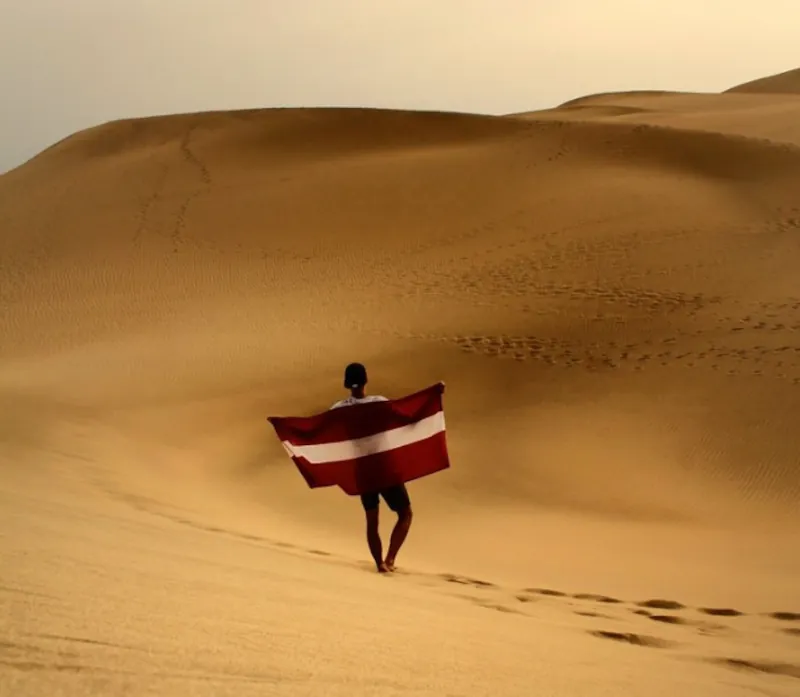 Obrázok je len ilustračný alebo len ako dekorácia.