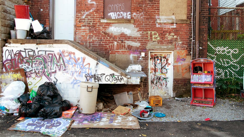 Obrázok je len ilustračný alebo len ako dekorácia.