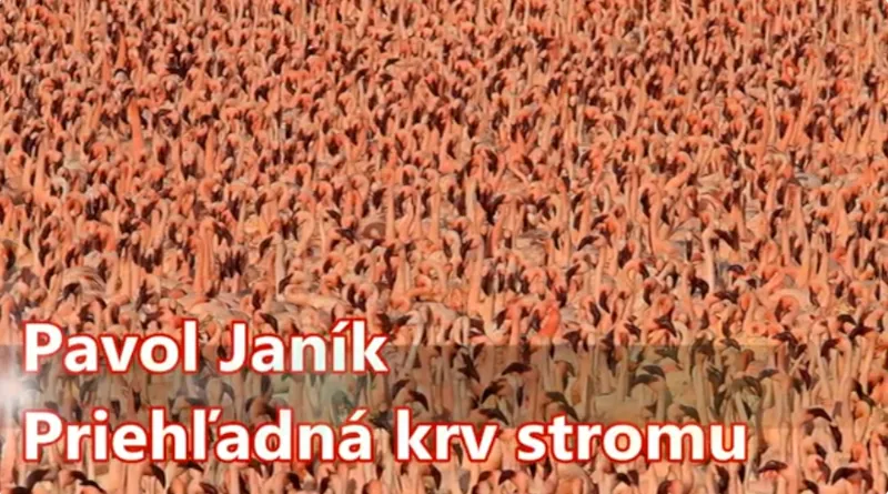 Obrázok je len ilustračný alebo len ako dekorácia.