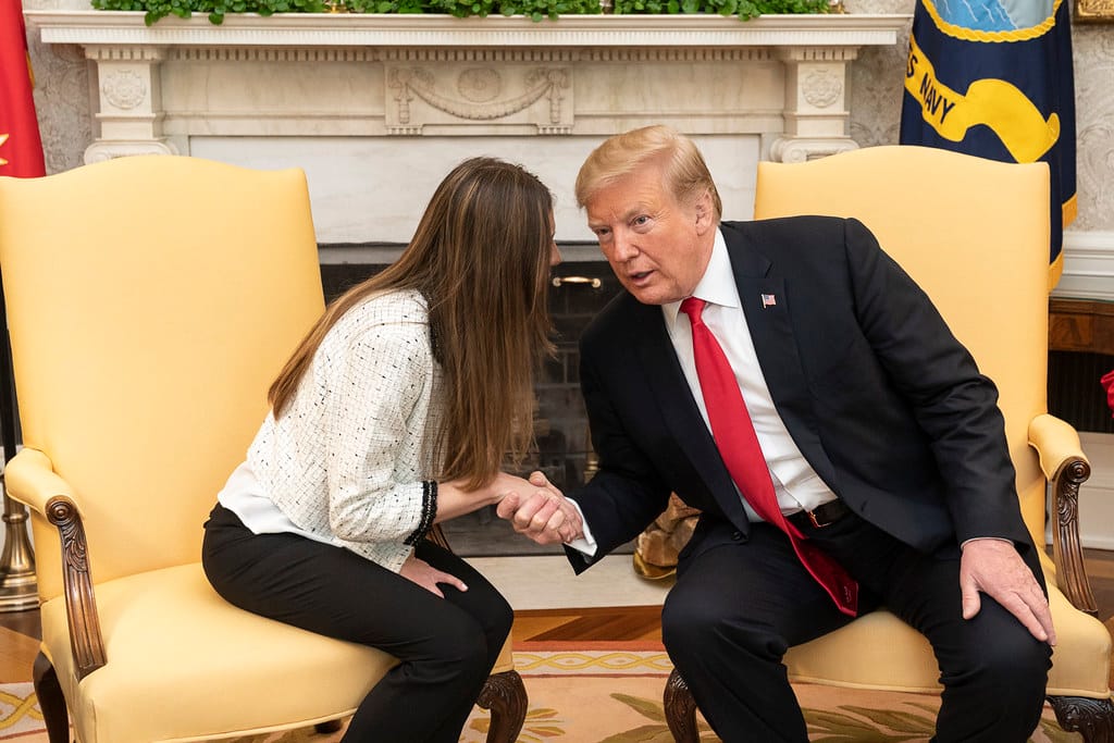 Obrázok je len ilustračný alebo len ako dekorácia.