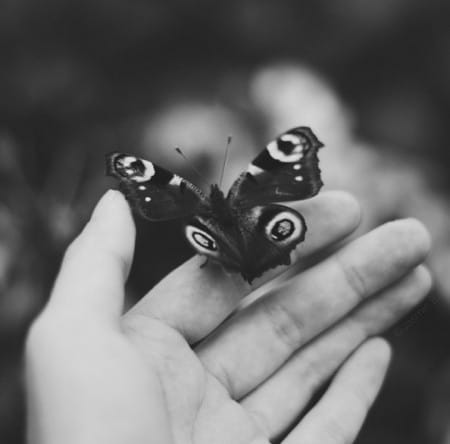 Obrázok je len ilustračný alebo len ako dekorácia