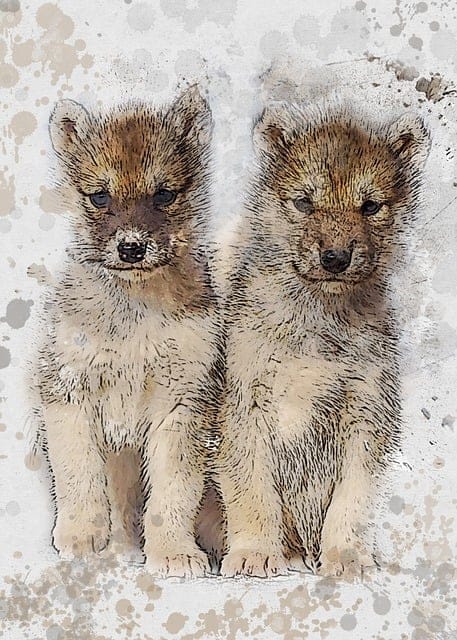 Obrázok je len ilustračný alebo len ako dekorácia.