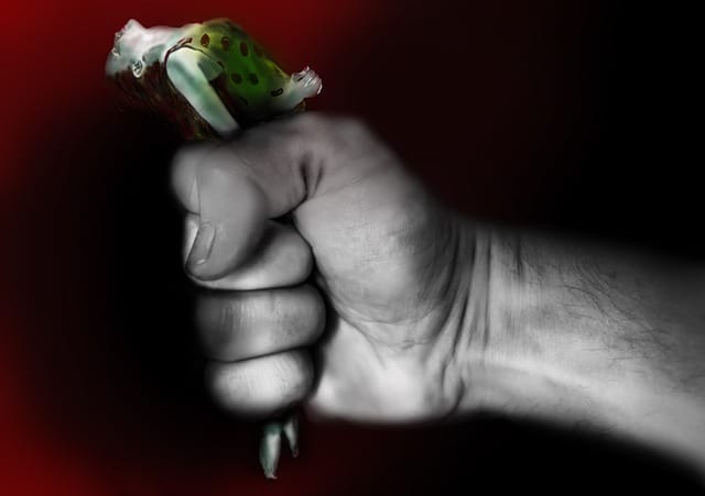 Obrázok je len ilustračný alebo len ako dekorácia